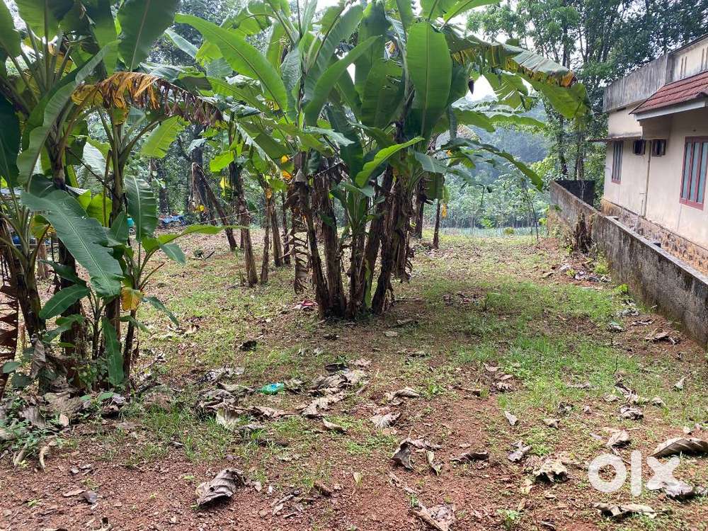 PLOT FOR SALE 20 CENT @ KUNNAMTHANAM