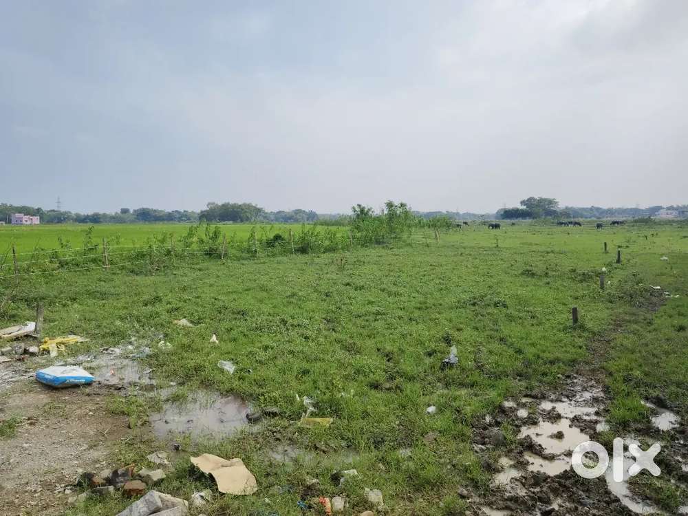 Residential land for sale in jhapetapur