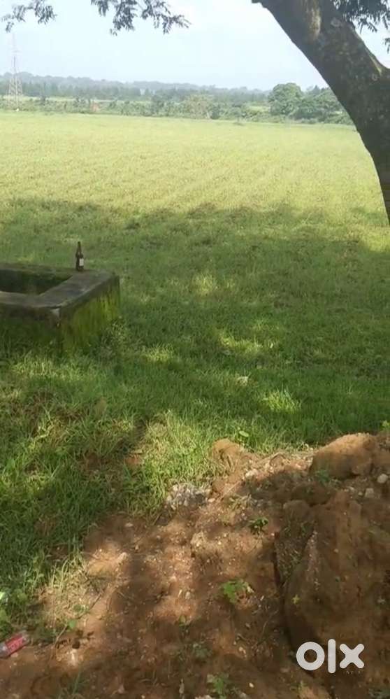 On-Road Zameen for Sale – 60 Dismil (ST Plot) – Malgo, Karra, Ranchi