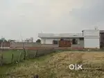 To rent for any use