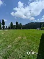 Personal car driver