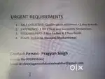 marketing executive
