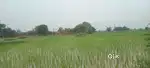 Plotting area khet near highway Naveen mandi chhibramau