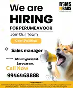 Experienced  Sales Manager with 3+ years