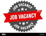 Driver cum Sales Executive