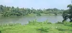 50 cent periyar water front land for sale in kanjoor,airport,aluva