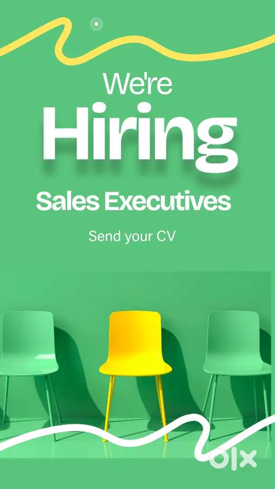 Sales executive