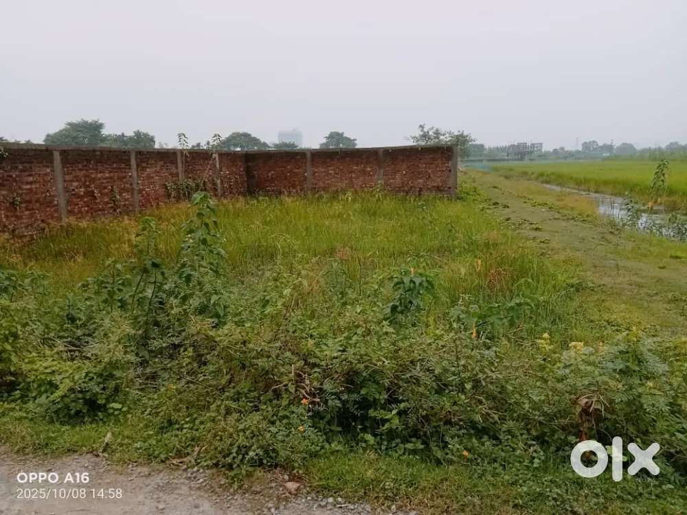 Land sale at kulberia mouza