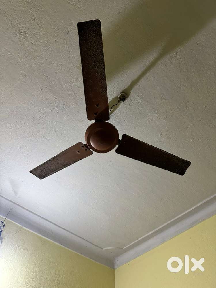 Ceiling fan
