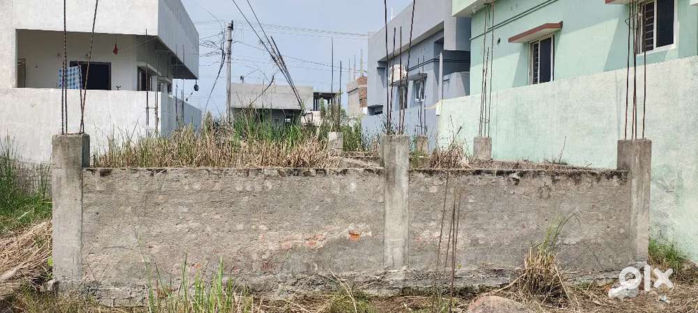 Site In Jagan Colony Thimmapuram