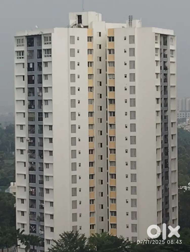 3bhk rent Olympia sequel 43k