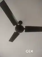 Ceiling fan