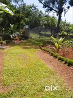 50CENTS OF LAND FOR SALE IN KARUKACHAL, KOTTAYAM