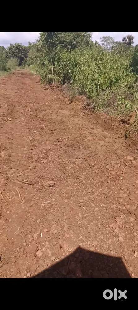 House Plots for sale