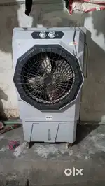 Summer cooler