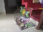 All job here