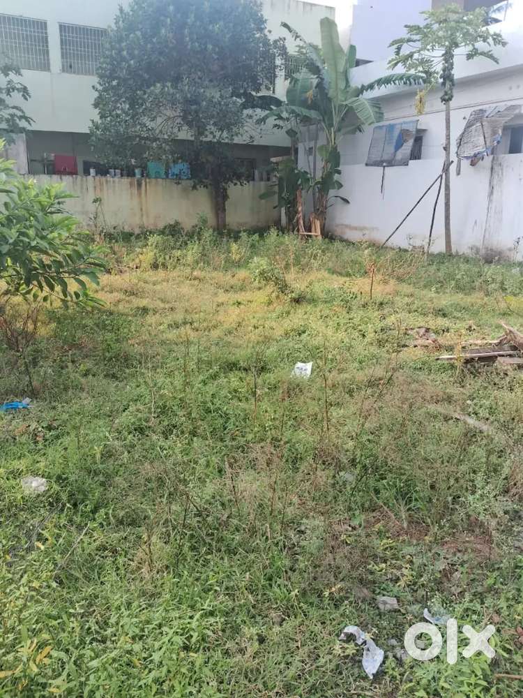 East Facing Residential Land 275 yards near to Ambajipeta Bus stand