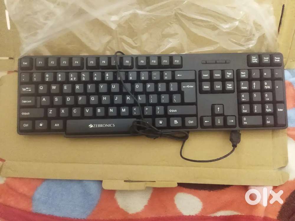 Zebronics Keyboard