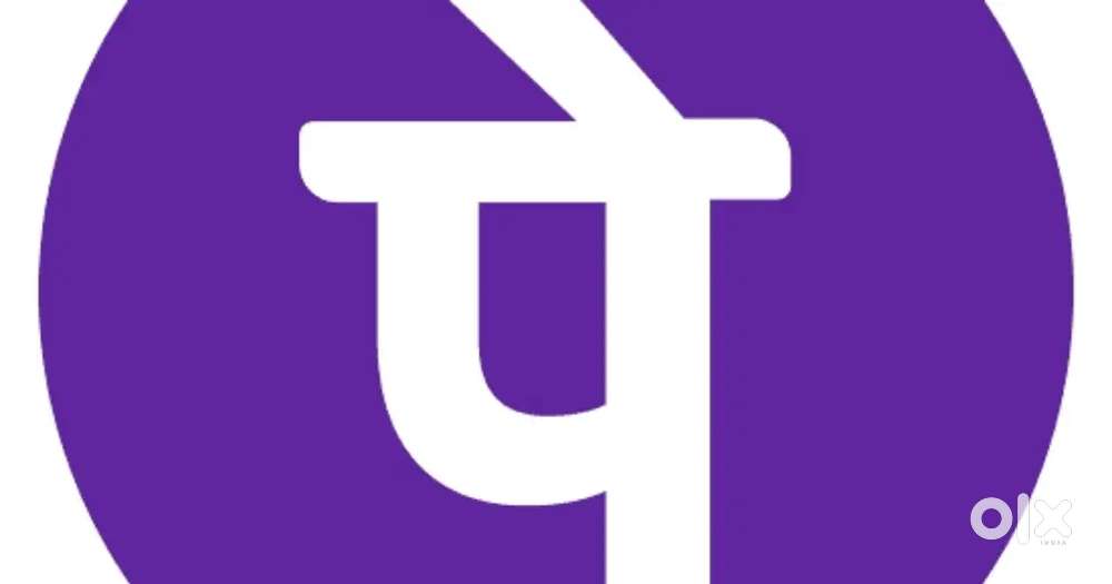 Phonepay Hiring Sales Executive (Two wheeler must)