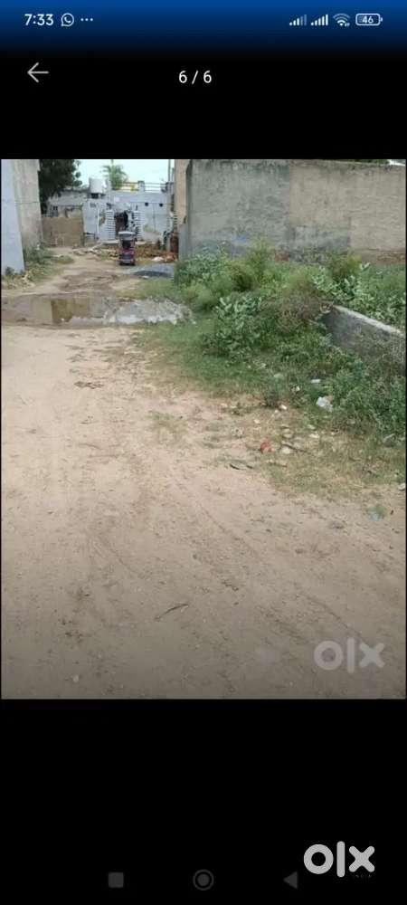 An open plot with west face L 60 Feet B 30.3 feet @30000 Rs sq yard