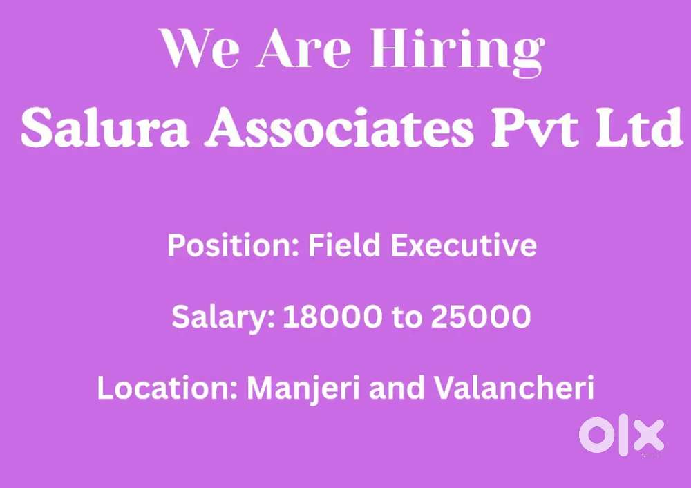 Collection executive