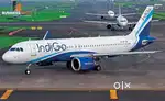 Cabin Crew/ Airport Ground Staff Jobs in Indigo airlines.