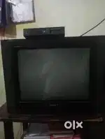 Tv is lowest price
