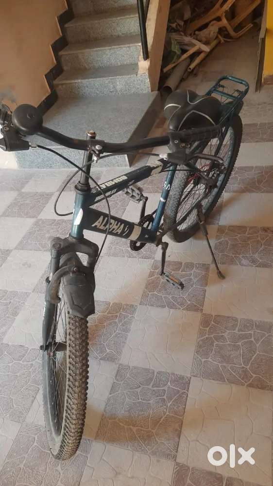 Big and high cycle for sale