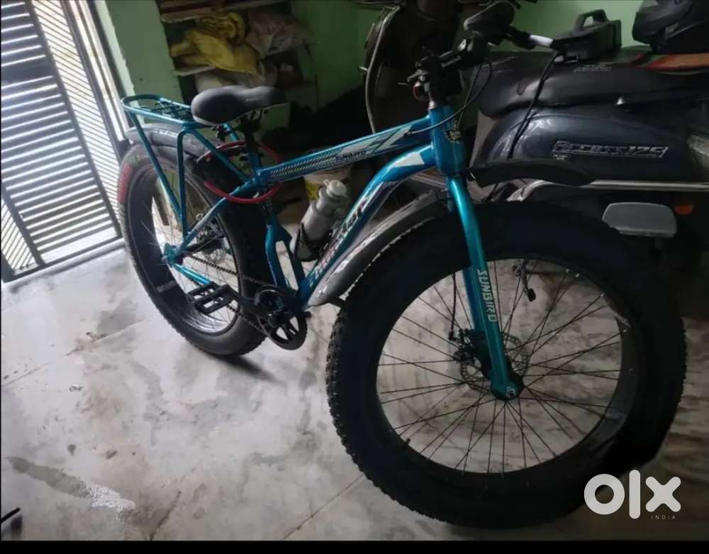 Sunbird fatboy cycle