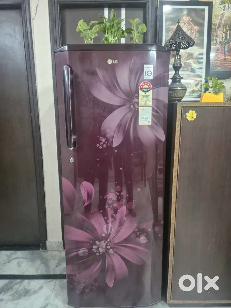 LG Refrigerator