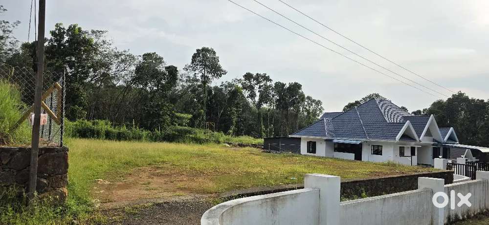 18 CENT PLOT NEAR KURAVILANGADU MANNACKANADU