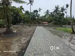 5.6.7 cents residetional plot at cheriyappilly (N. Paravoor