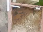 Water tank cleaning