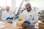 Wanted m/ f packing staffs at Calicut