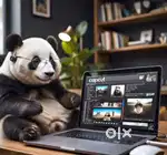 Video Editing & Reel making