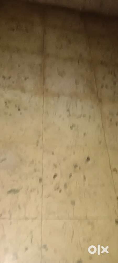 Looking for female maid