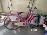 Lady bird cycle
