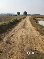 7.78 bigha 6600 gaj