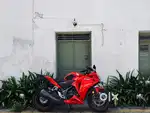2019 Cbr 250 dual channel abs model