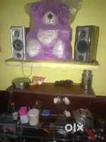 Sony speaker