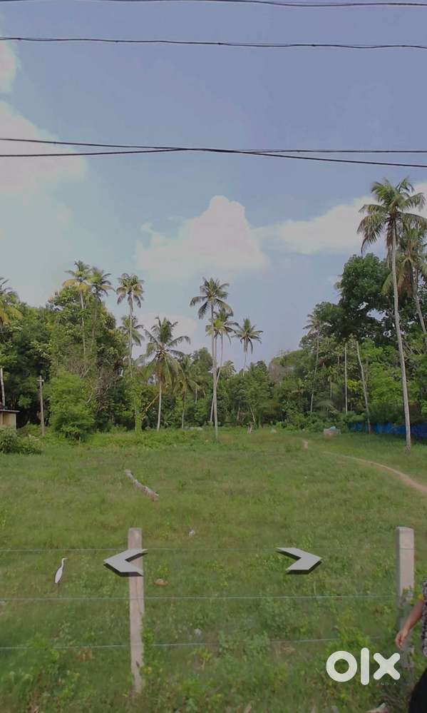 A property of land available for sale near by thuravoor.