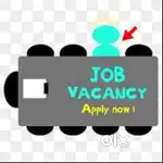JOB OPENINGS