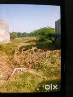 20×50 plot sale far Rama Mandi district bathinda