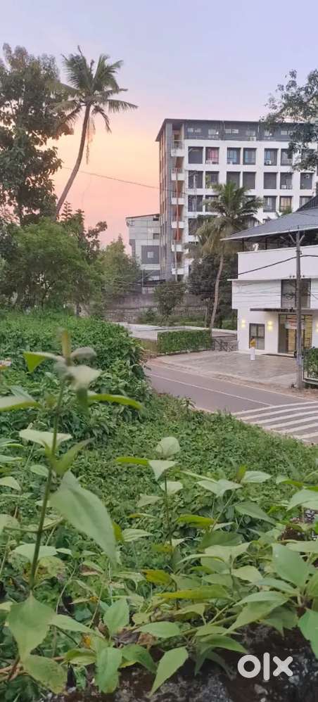 8 CENT PLOT FOR SALE (NEAR AZZEZIA MEDICAL COLLEGE)