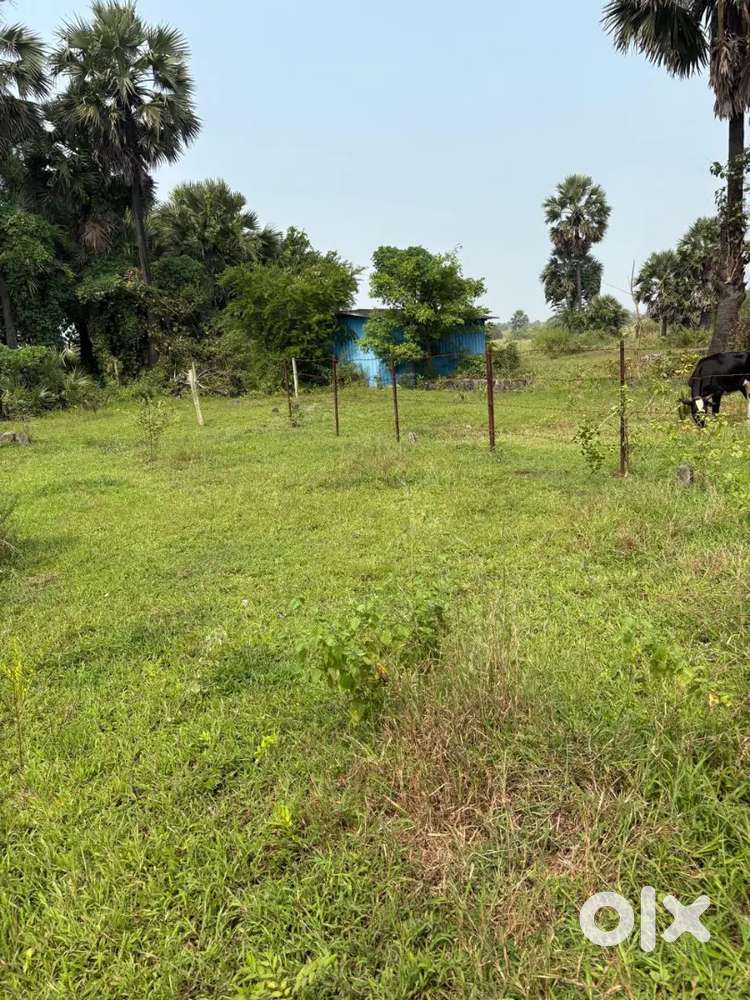 Title Clear 2 guntha N.A. plot for Bungalow nr.Giriz Talav,Vasai-50Lac