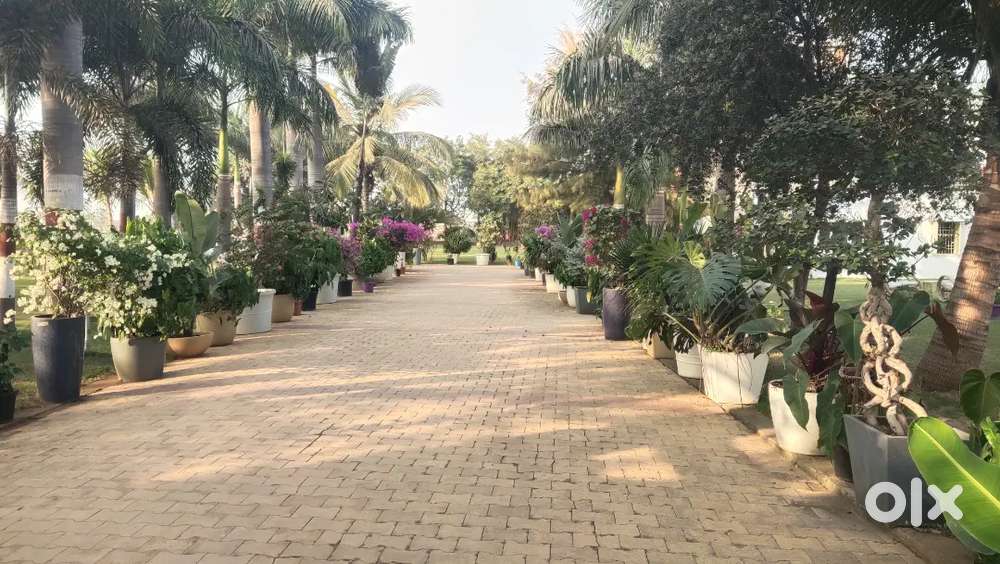 Residential Plots Available Near D Mart National Highway Durg !!!