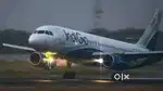 Urgent hiring for Indigo airline apply fast