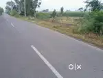 Plot for sale near rail coach factory kapurthala