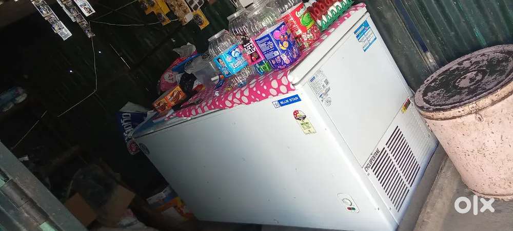 Blue Star fridge