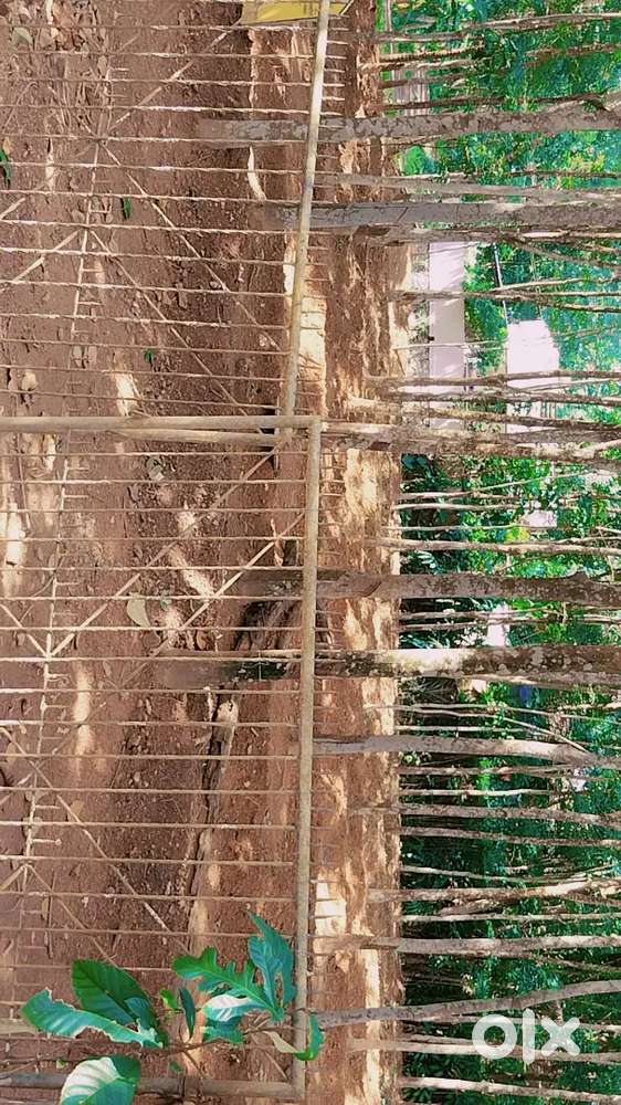 32 Cent Land For Sale